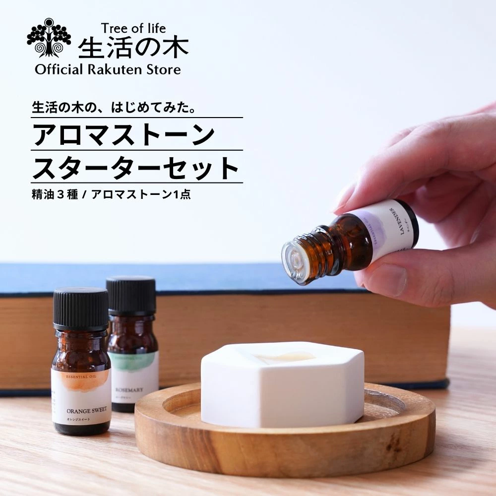 搜索 站内搜索