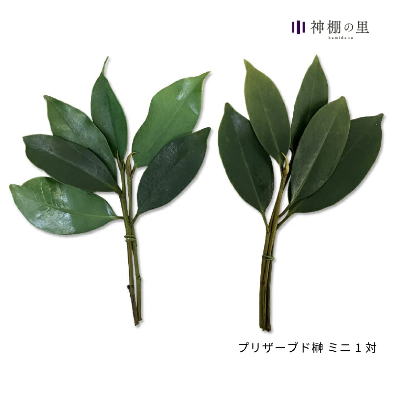 神坛及神具专卖店：神坛之佐