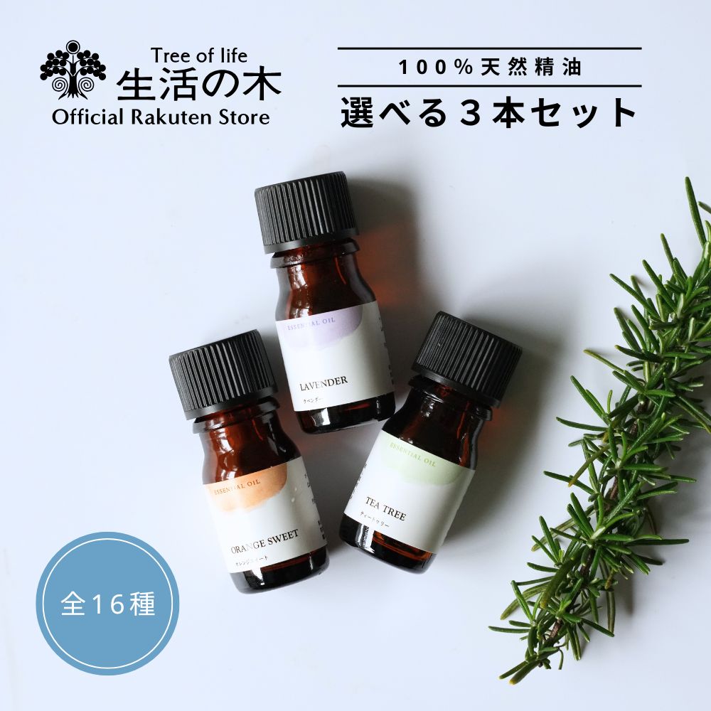 搜索 站内搜索