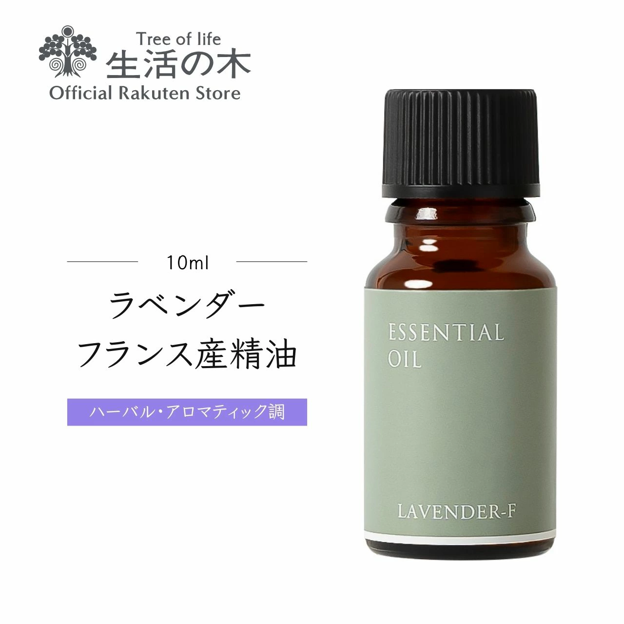 搜索 站内搜索