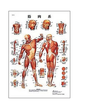 送货/运费