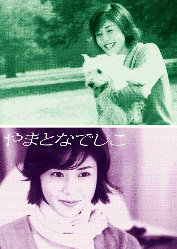 大和抚子 DVD-BOX 松岛菜菜子、堤真一等