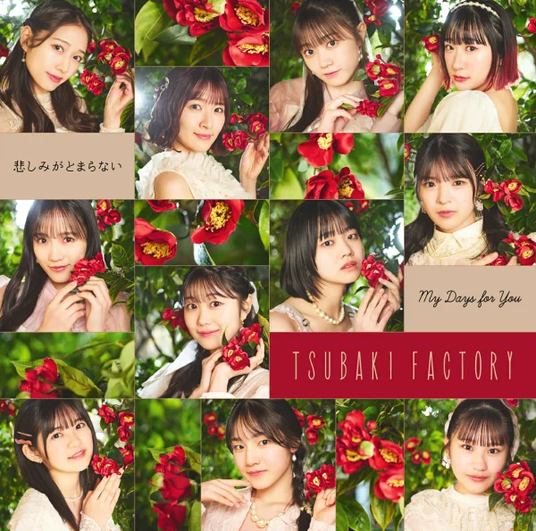 初回限定 My Days for You/悲伤不停 (初回限定版 SP CD+Blu-ray) 椿工厂
