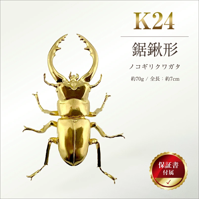 南阿尔卑斯市