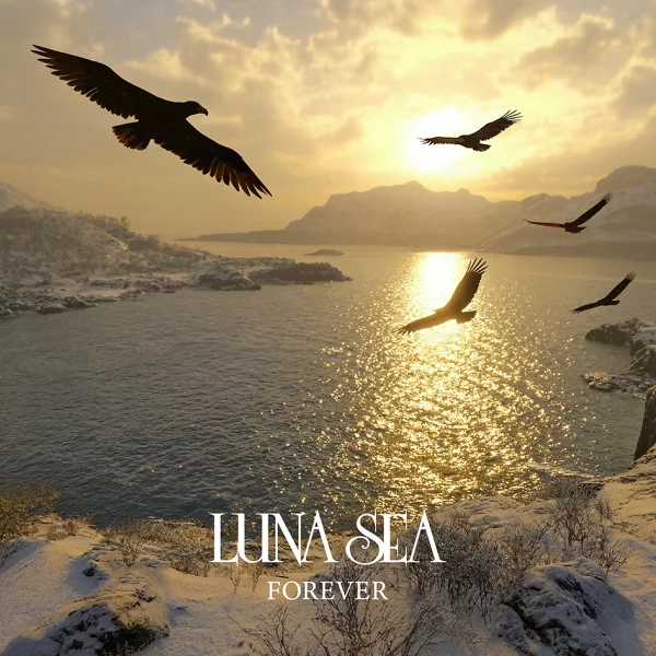 [乐天图书限定先到先得优惠]FOREVER（明信片）原创优惠LUNA SEA