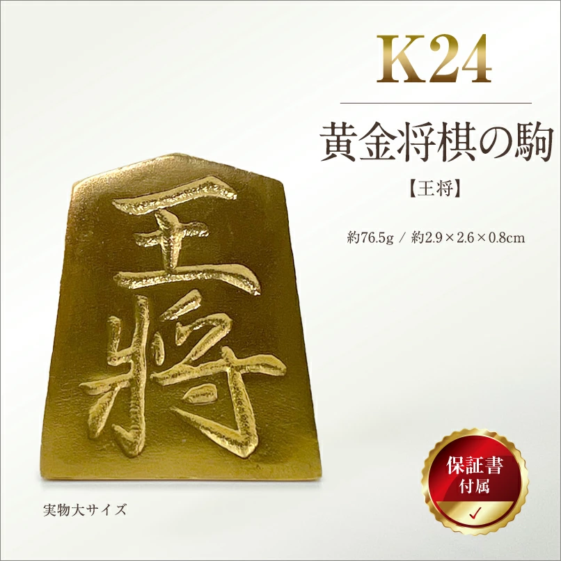 南阿尔卑斯市