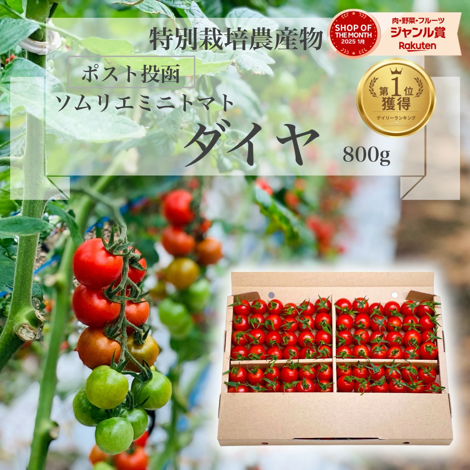 按类别搜索