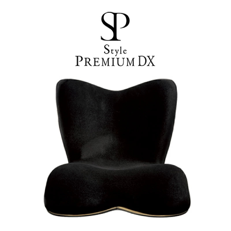 Style PREMIUM DX Style Premium DX（豪华）姿势护理座椅 MTG 骨盆矫正椅沙发姿势支撑腰痛办公室家用弯腰姿势改善塑身工作椅