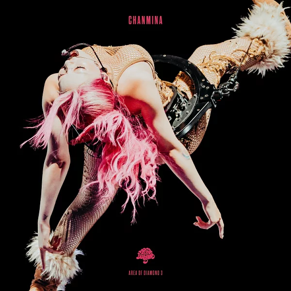 初回限定 AREA OF DIAMOND 3 (完全限定版 DVD) Chanmina