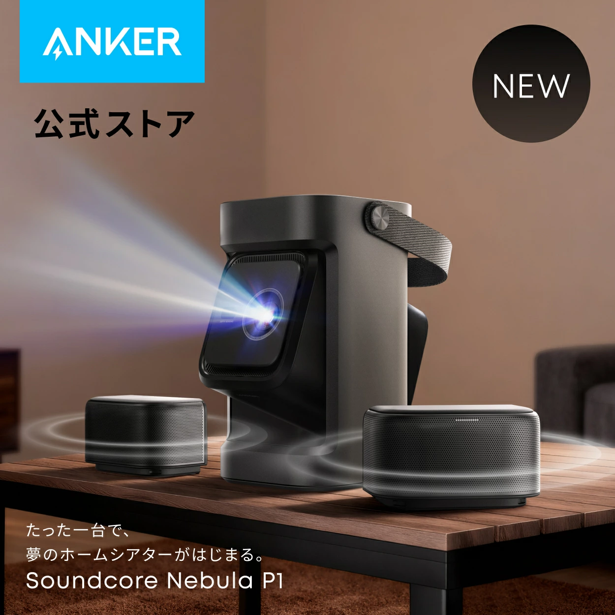 Anchor Direct 乐天市场店