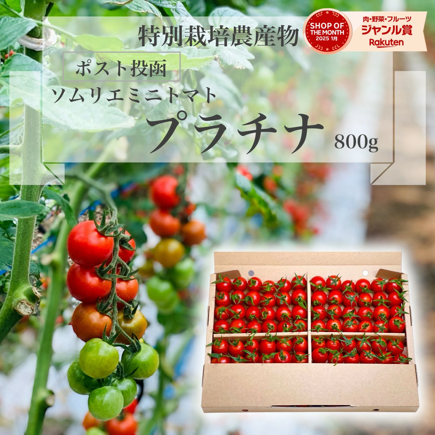 按类别搜索