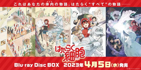 首批有限细胞投入工作！ Blu-ray Disc BOX [限定版] [Blu-ray] 清水茜、花泽佳奈等