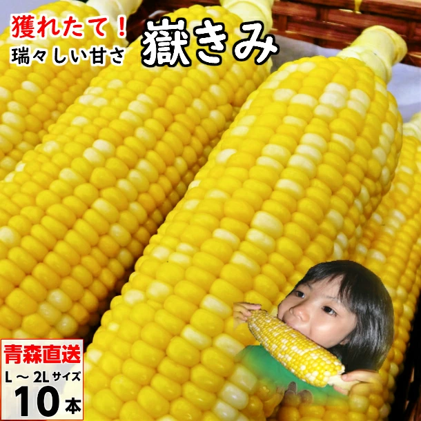 取Kimi Corn L-2L尺寸10个
