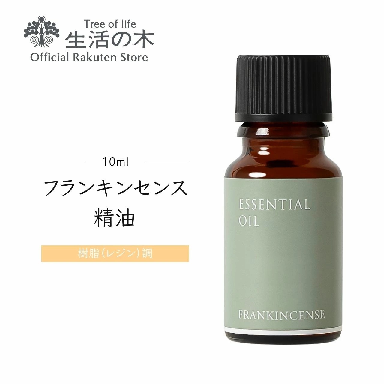 搜索 站内搜索