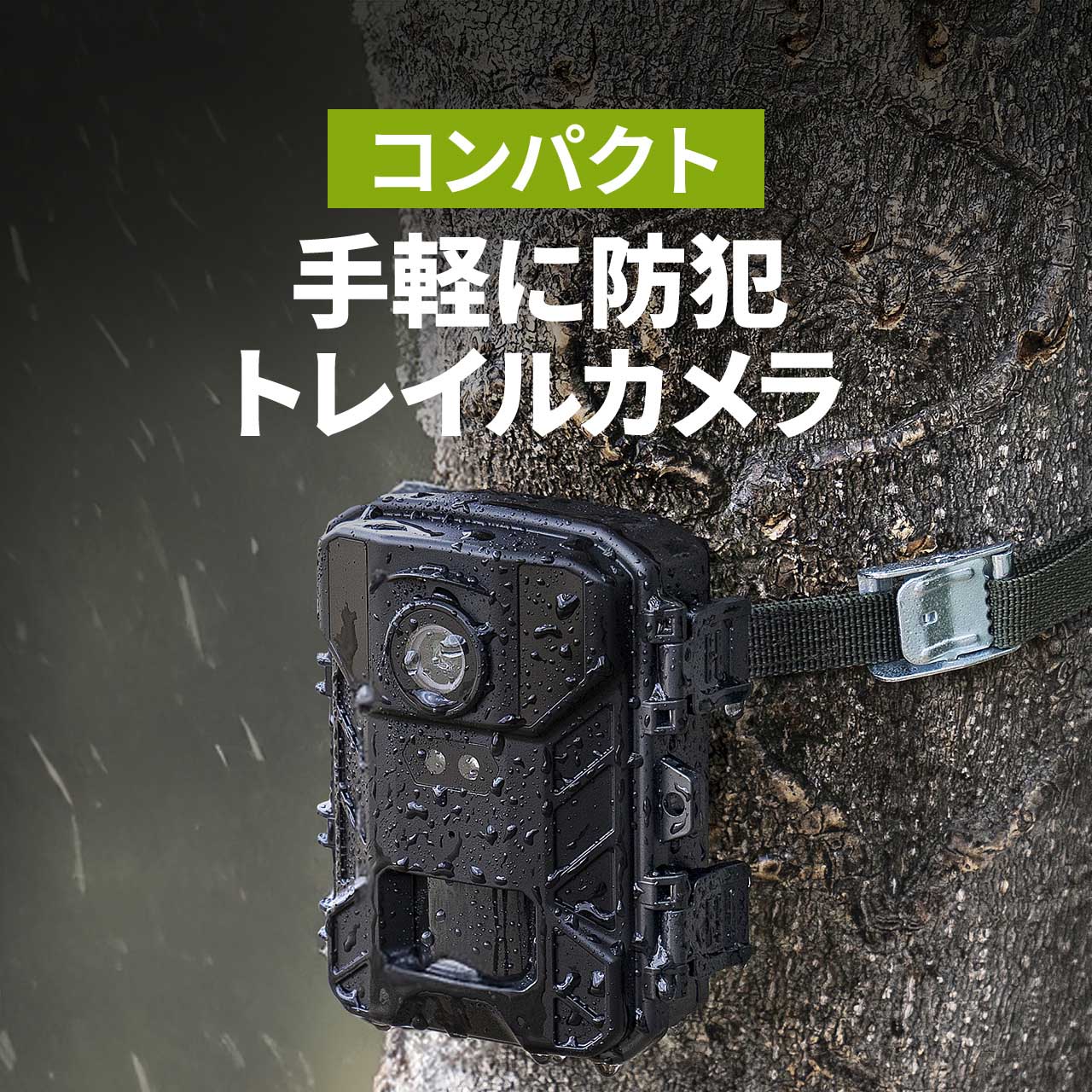 产品详情