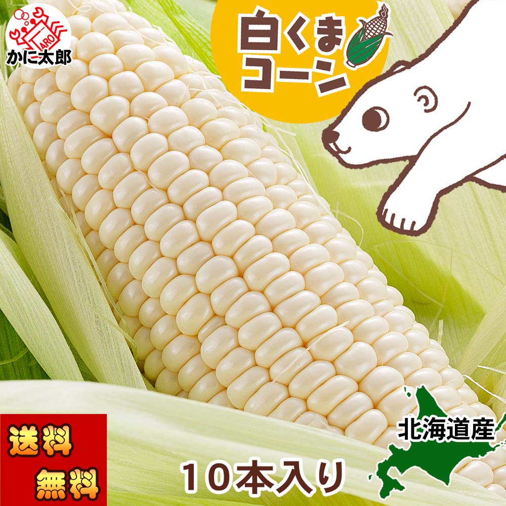 北海道产白玉米