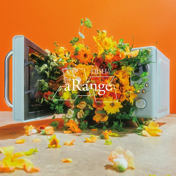 [乐天图书限定先到先得优惠]aRange（亚克力钥匙扣独奏随机<个人设计>（全4种））原创优惠DISH//