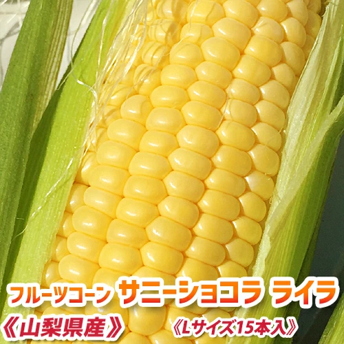 运费