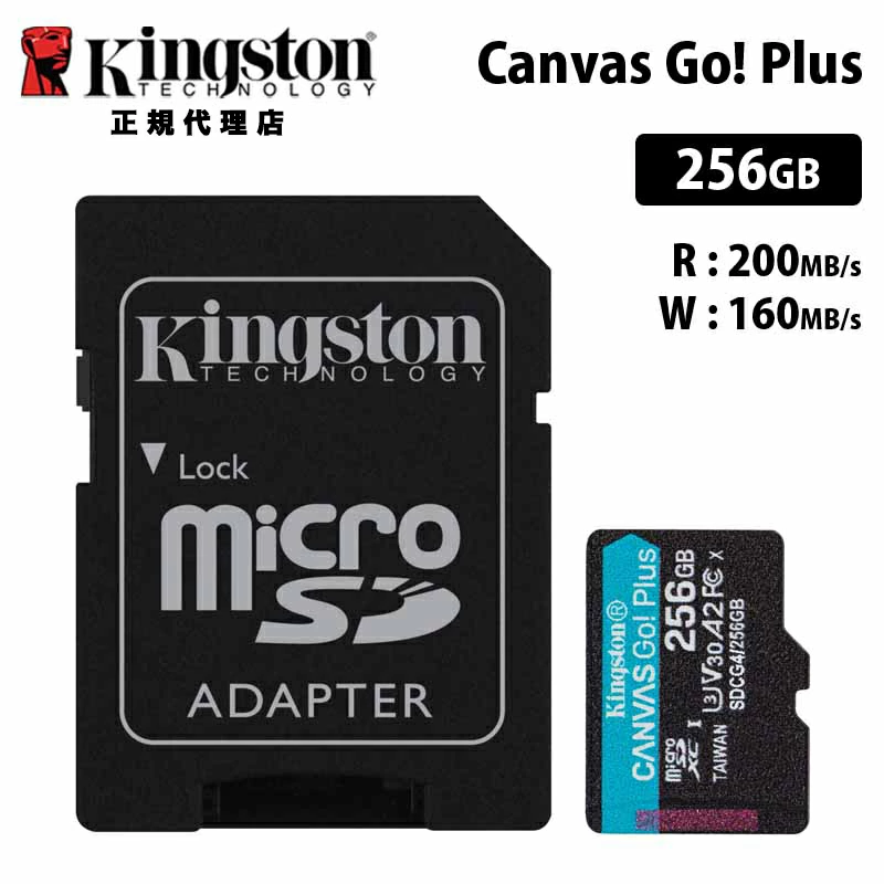 Canvas Go!Plus microSD 存储卡 (256GB)