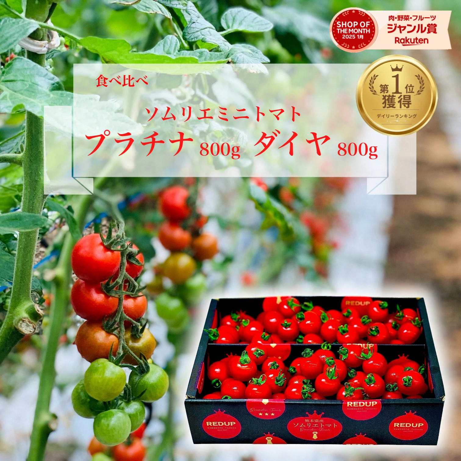按类别搜索