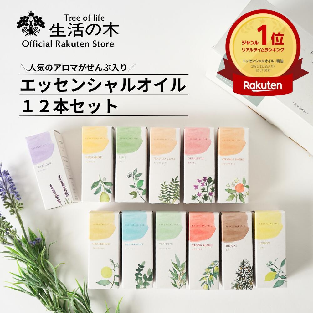 搜索 站内搜索