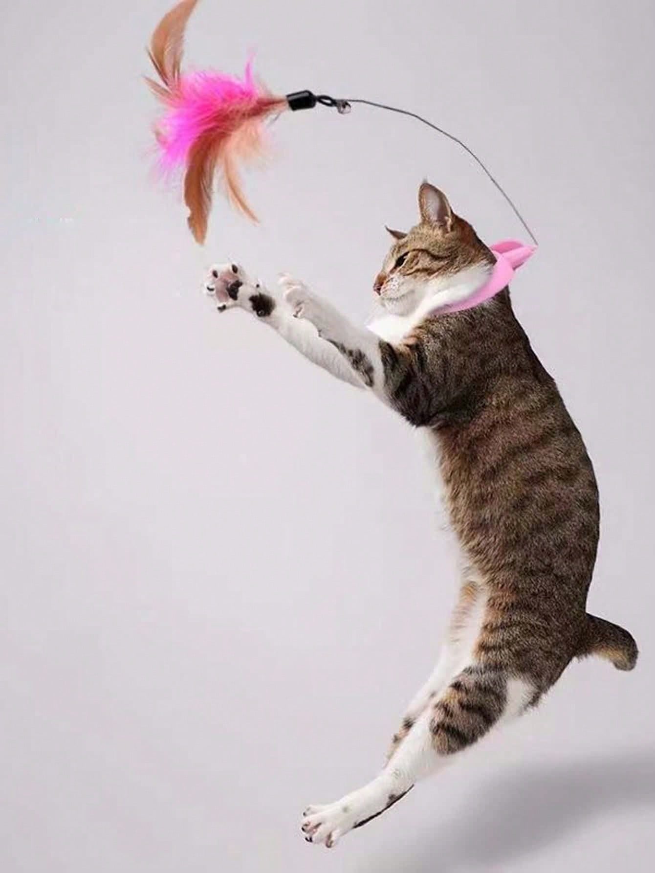 逗猫棒逗猫玩具自愈猫解闷便捷工具猫项圈自动逗猫